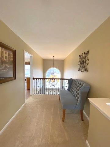 13521 Vicarage Dr, Plainfield, IL 60544 photo 22