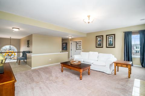 13521 Vicarage Dr, Plainfield, IL 60544 photo 23