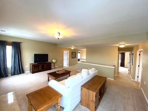13521 Vicarage Dr, Plainfield, IL 60544 photo 25