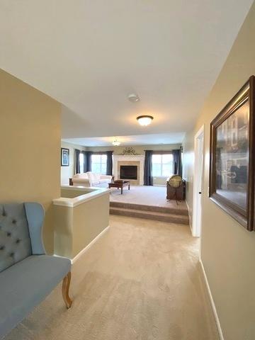 13521 Vicarage Dr, Plainfield, IL 60544 photo 24