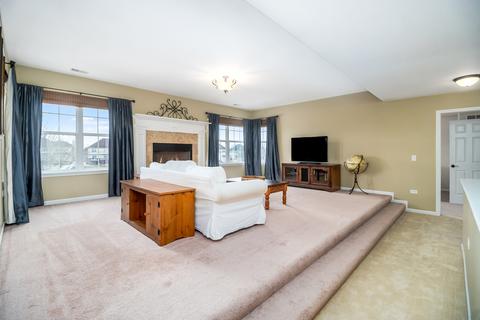 13521 Vicarage Dr, Plainfield, IL 60544 photo 21