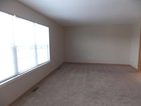 2816 Hoffman St, Plano, IL 60545 photo 12