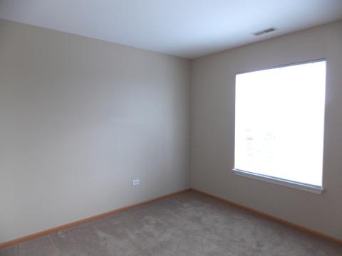 2816 Hoffman St, Plano, IL 60545 photo 17