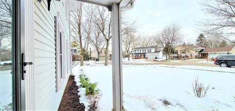 4310 Haman Ct, Hoffman Estates, IL 60192 photo 8