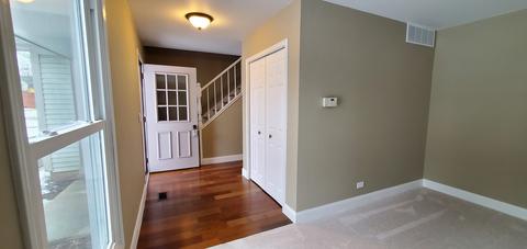 4310 Haman Ct, Hoffman Estates, IL 60192 photo 10
