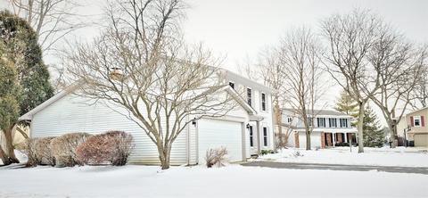 4310 Haman Ct, Hoffman Estates, IL 60192 photo 52