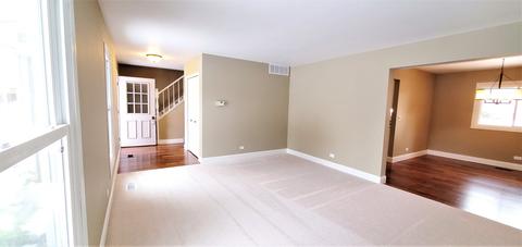 4310 Haman Ct, Hoffman Estates, IL 60192 photo 11