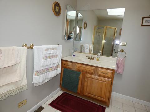 520 N Russel St, Mount Prospect, IL 60056 photo 8