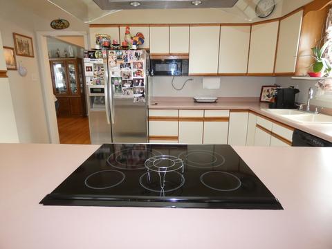 520 N Russel St, Mount Prospect, IL 60056 photo 4