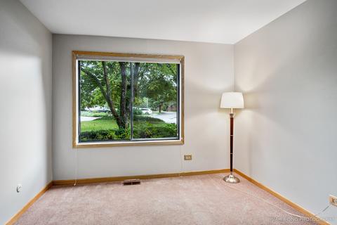 6283 Trinity Dr #1-B, Lisle, IL 60532 photo 10