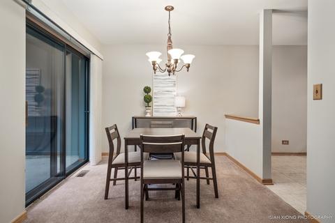 6283 Trinity Dr #1-B, Lisle, IL 60532 photo 5