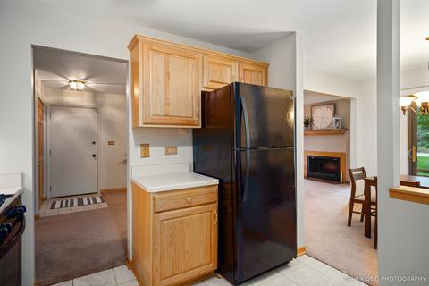 6283 Trinity Dr #1-B, Lisle, IL 60532 photo 7