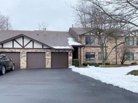 6283 Trinity Dr #1-B, Lisle, IL 60532 photo 1