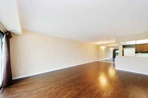 375 Plum Creek Dr #503, Wheeling, IL 60090 photo 4