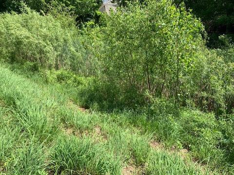 75 Landon Cir, Wheaton, IL 60189 photo 5