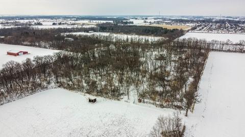 11250 Cemetery Rd, Capron, IL 61012 photo 42