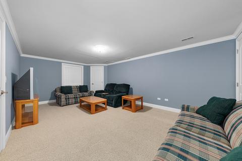1088 Johnson Dr, Naperville, IL 60540 photo 46