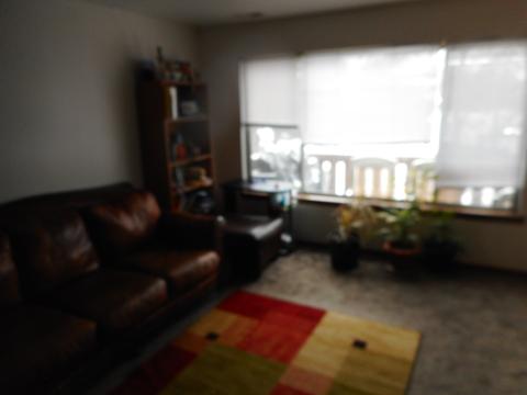 745 Candleridge Ct #A2, Bartlett, IL 60103 photo 6