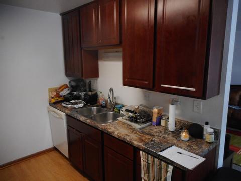 745 Candleridge Ct #A2, Bartlett, IL 60103 photo 4