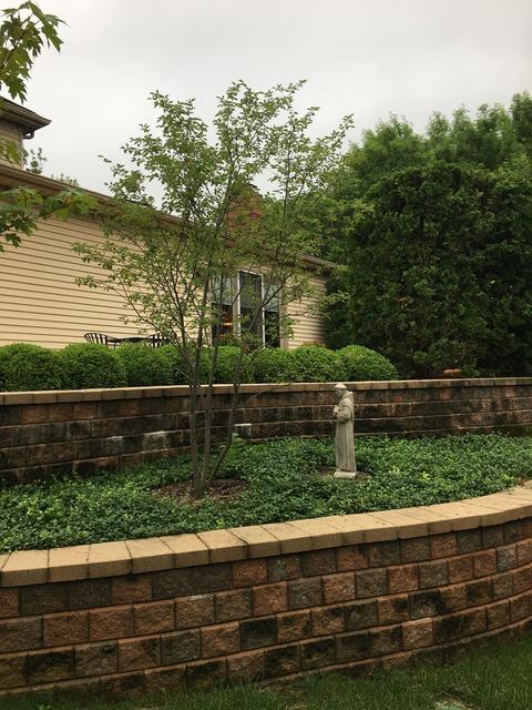 1383 Deep Run Rd, Naperville, IL 60540 photo 23