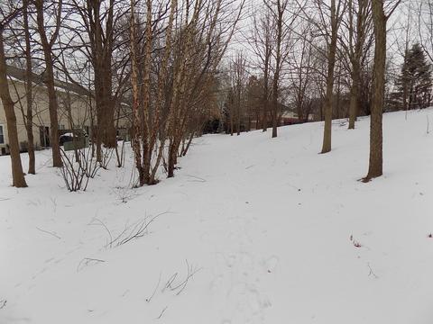 414 Ballard Dr, Algonquin, IL 60102 photo 23