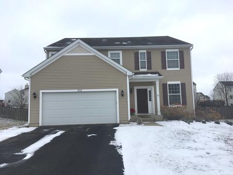 717 Avalon Way, Minooka, IL 60447 photo 1