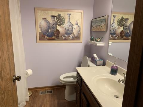 805 Francine Dr, Bartlett, IL 60103 photo 17
