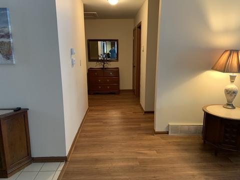 805 Francine Dr, Bartlett, IL 60103 photo 14
