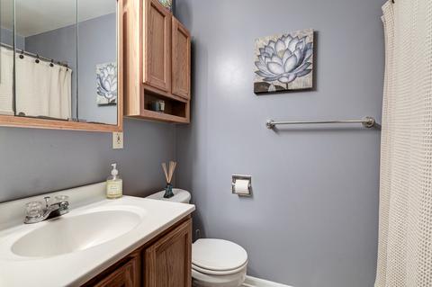 161 E 2nd St, Braidwood, IL 60408 photo 13