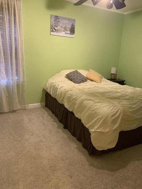 8106 S Artesian Ave, Chicago, IL 60652 photo 20