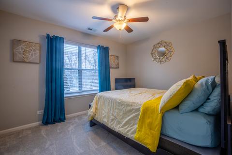 115 Dickens Trl, Elgin, IL 60120 photo 15