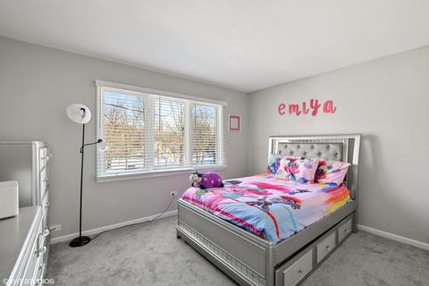 2530 Glen Eagles Dr, Olympia Fields, IL 60461 photo 15