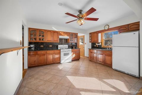 137 Cherry St, Roselle, IL 60172 photo 5