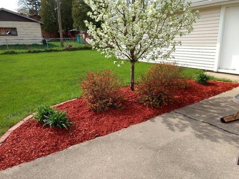 3116 Phillips Ave, Steger, IL 60475 photo 16