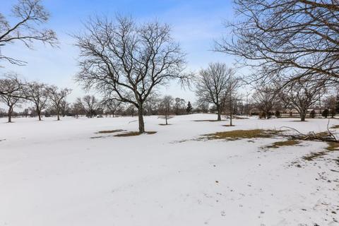 35 Bradley Ln, Hoffman Estates, IL 60169 photo 24
