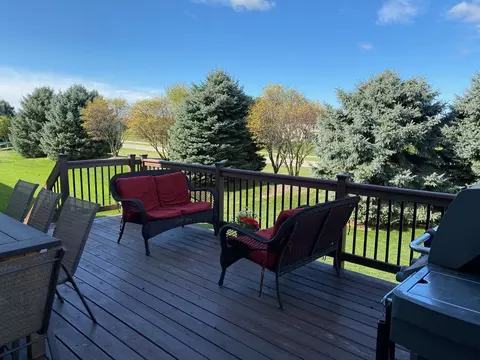 26654 Lindengate Cir, Plainfield, IL 60585 photo 49