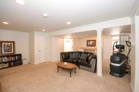 26654 Lindengate Cir, Plainfield, IL 60585 photo 34