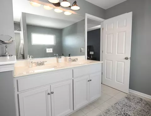 26654 Lindengate Cir, Plainfield, IL 60585 photo 20