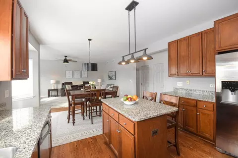 26654 Lindengate Cir, Plainfield, IL 60585 photo 9