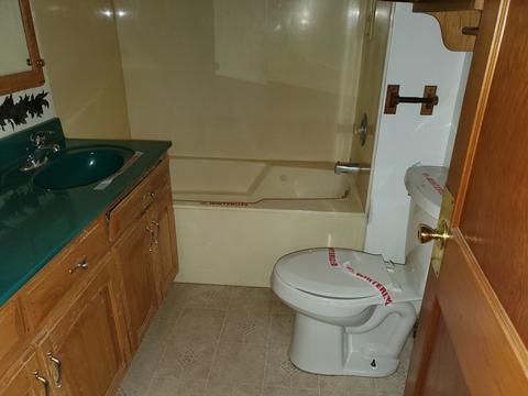 408 E Main St, Cabery, IL 60919 photo 4