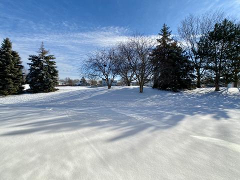 865 Mesa Dr, Elgin, IL 60123 photo 26