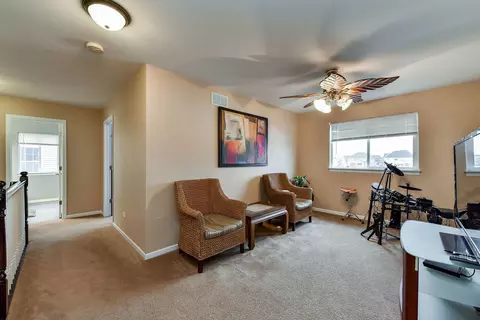 6704 Mountain Ridge Pass, Plainfield, IL 60586 photo 22