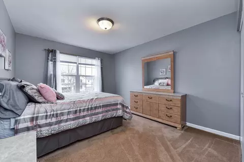 6704 Mountain Ridge Pass, Plainfield, IL 60586 photo 19