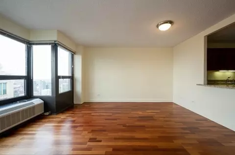 30 E Huron St #5606, Chicago, IL 60611 photo 4