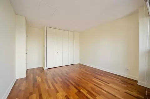 30 E Huron St #5606, Chicago, IL 60611 photo 9