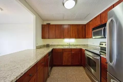 30 E Huron St #5606, Chicago, IL 60611 photo 6