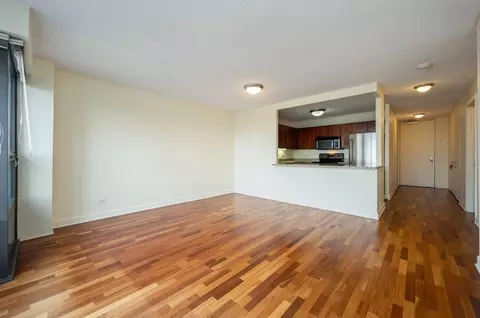 30 E Huron St #5606, Chicago, IL 60611 photo 7