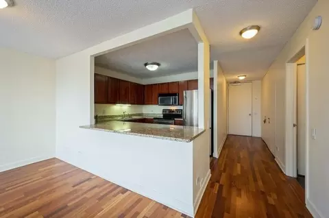 30 E Huron St #5606, Chicago, IL 60611 photo 5