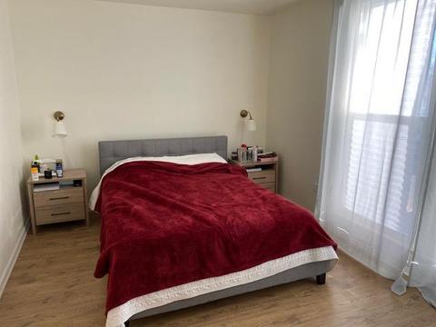 1821 Pine St, Des Plaines, IL 60018 photo 8