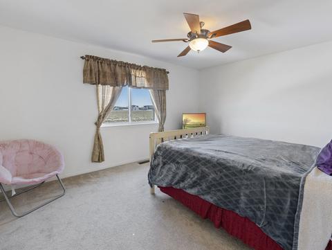 14711 Independence Dr, Plainfield, IL 60544 photo 26